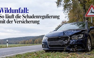Wildunfall: So läuft die Schadenregulierung mit der Versicherung